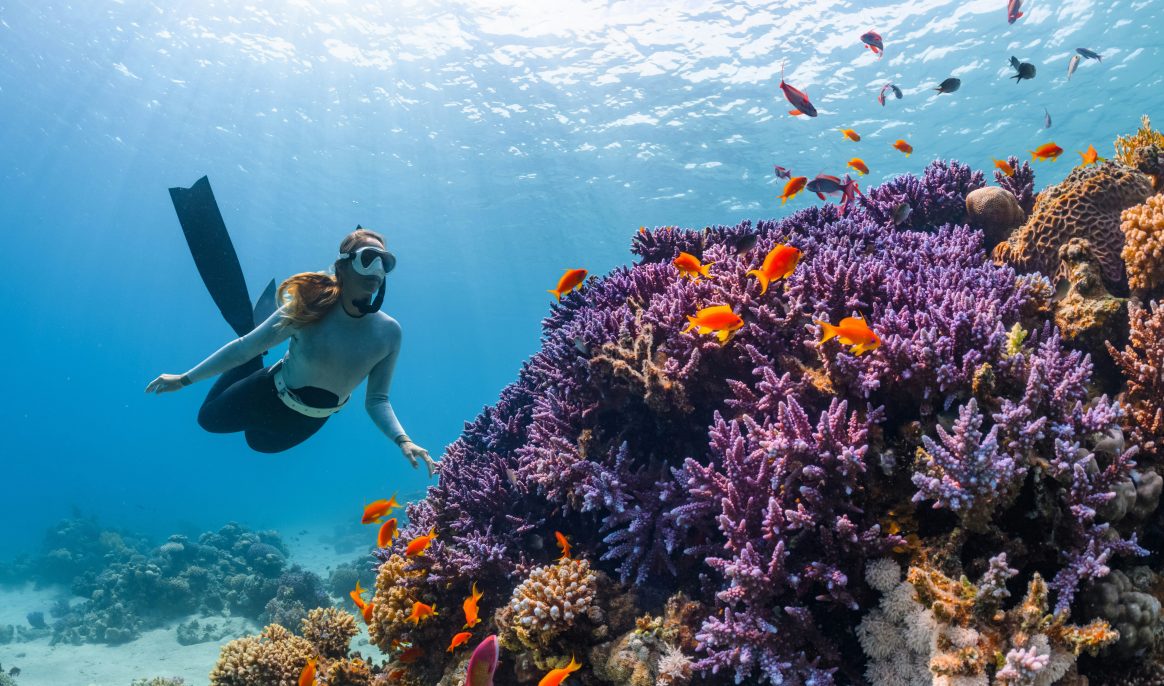 La Grande Barrière de Corail échappe pour l'instant à la liste de l'UNESCO des sites en péril