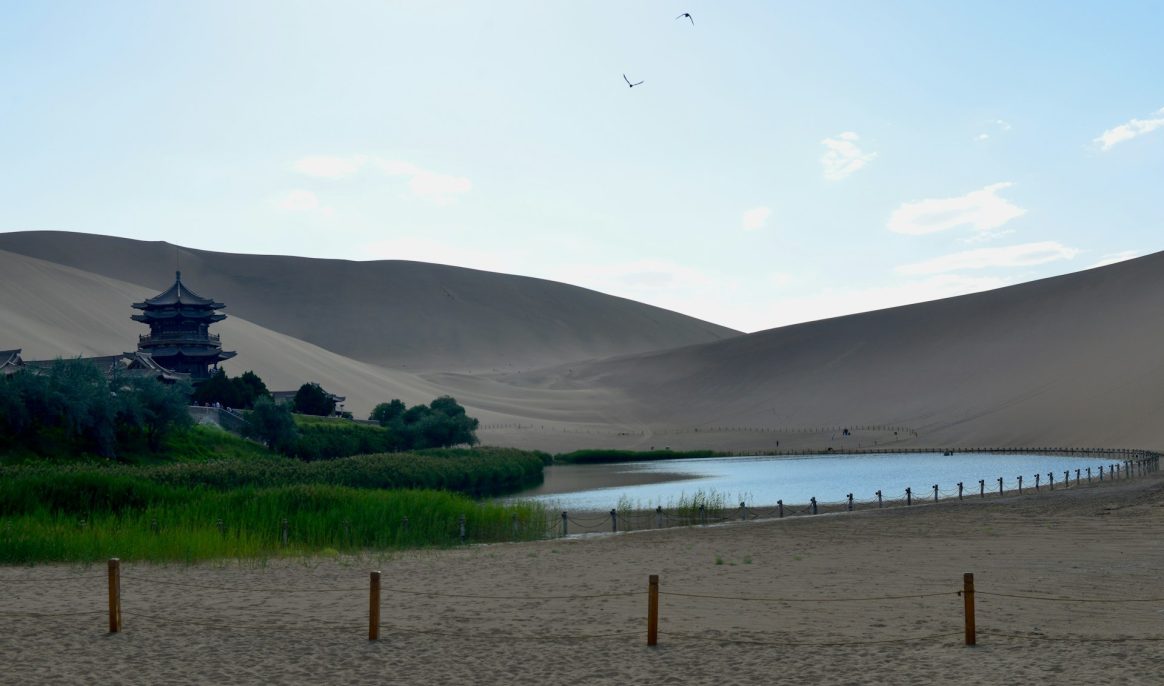 Des dunes du désert chinois transformées en terres fertiles