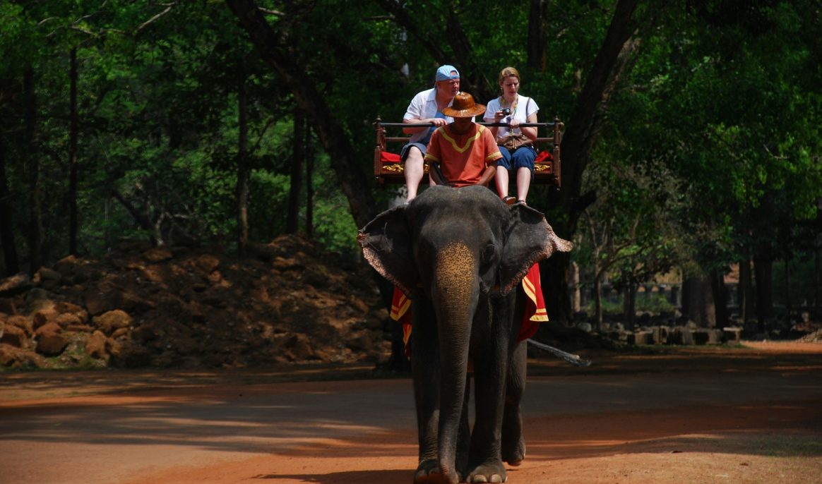 Asian country bans elephant rides for tourists