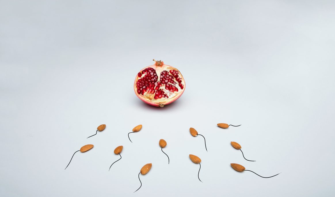 Assouplir les ovaires : une piste prometteuse pour prolonger la fertilité
