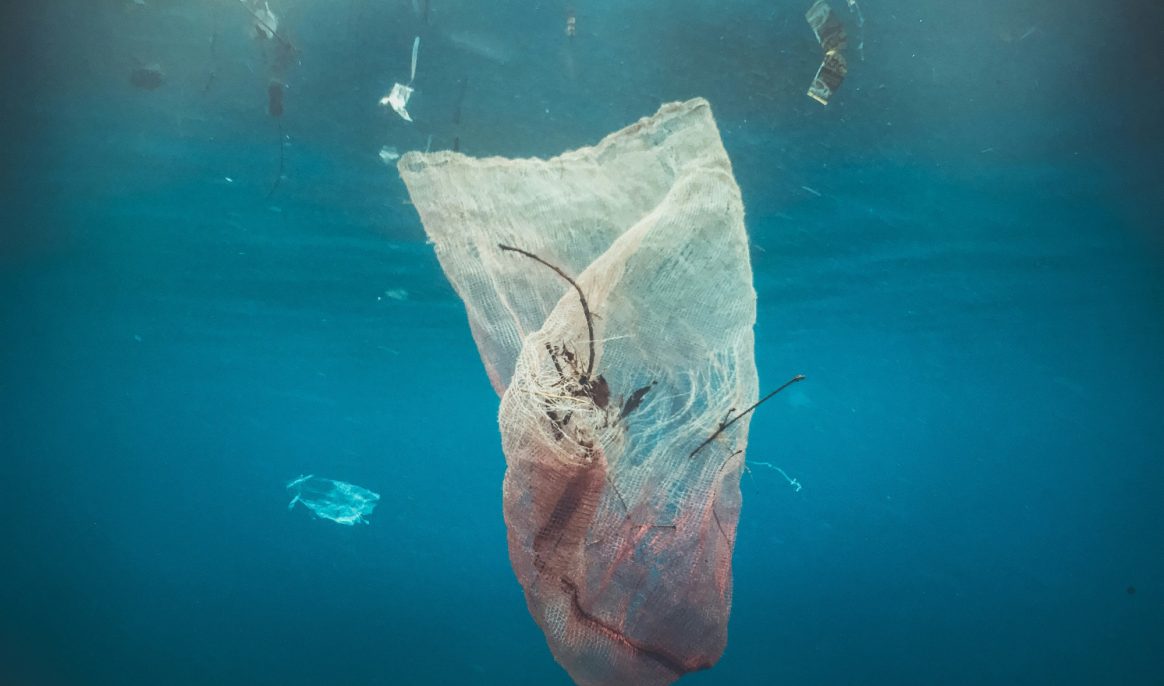 Des crabes utiles contre la pollution des microplastiques