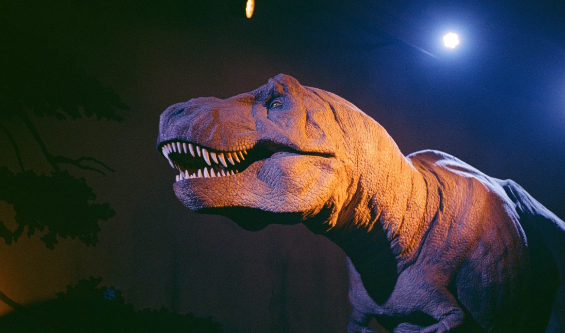 Estimated at 300,000 euros, this revolutionary “T-rex leather” bag flops at auction