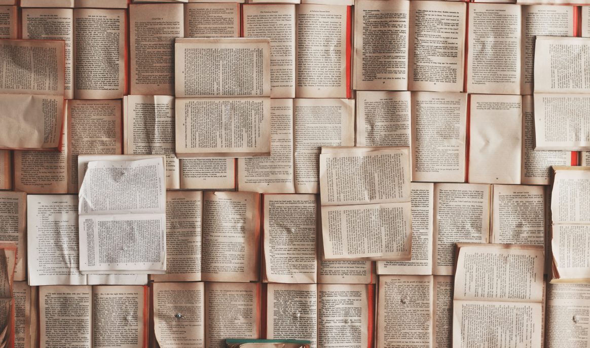Des millions de livres pillés pour entraîner l’IA et contourner les droits d’auteur : la polémique Anthropic