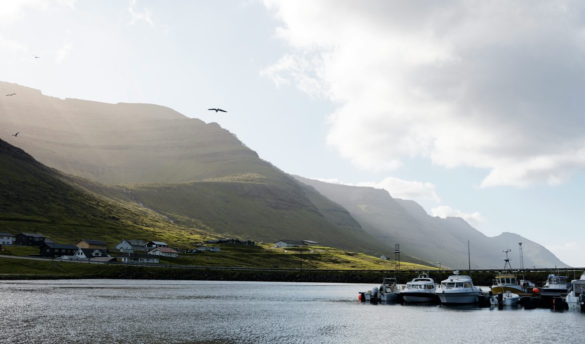 Faroe Islands: 706 dolphins killed in one day, the biggest massacre in history