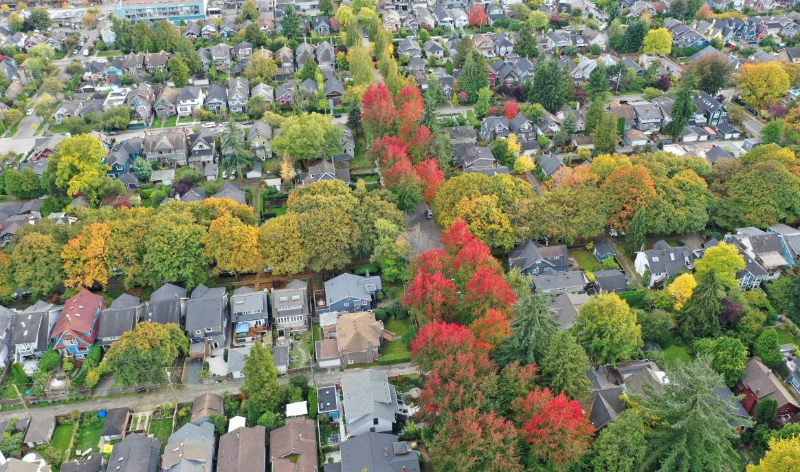 Urban trees against heatwaves: urban vegetation reduces heat island effect beyond predictions