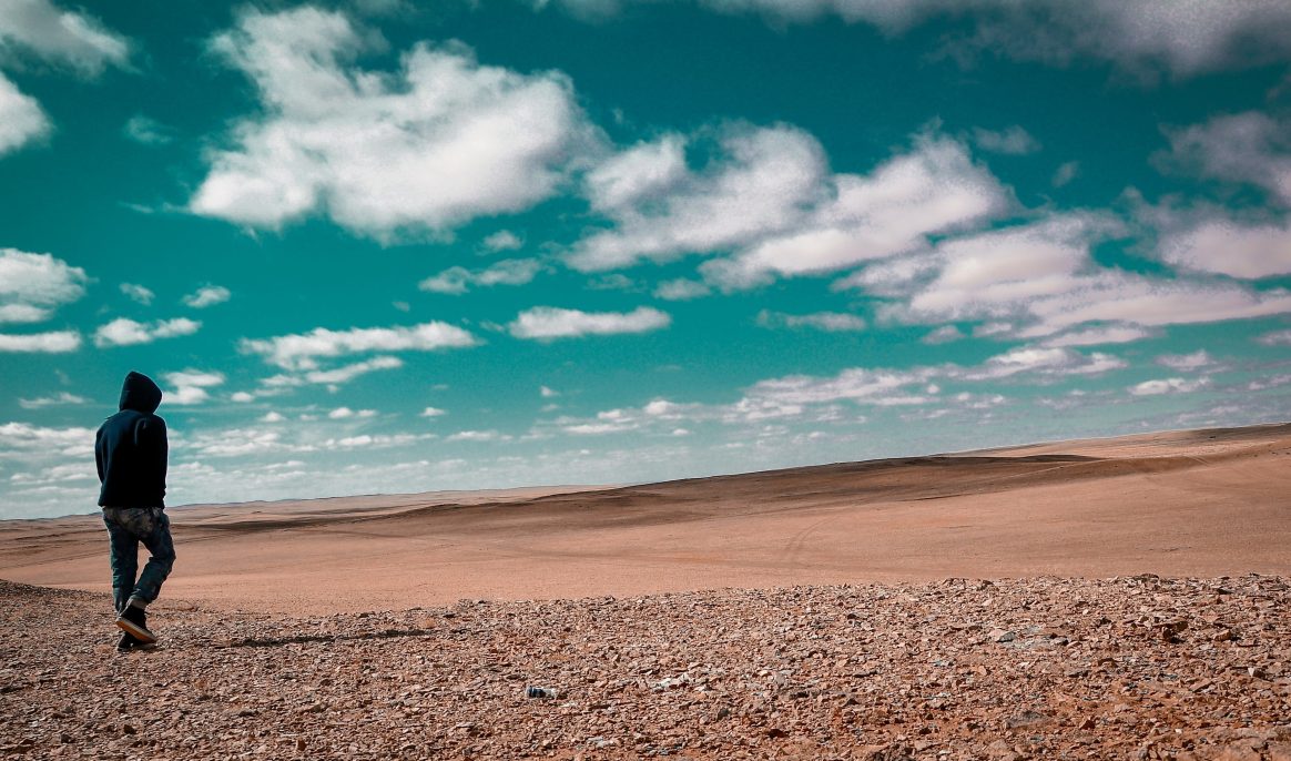 Gobi desert