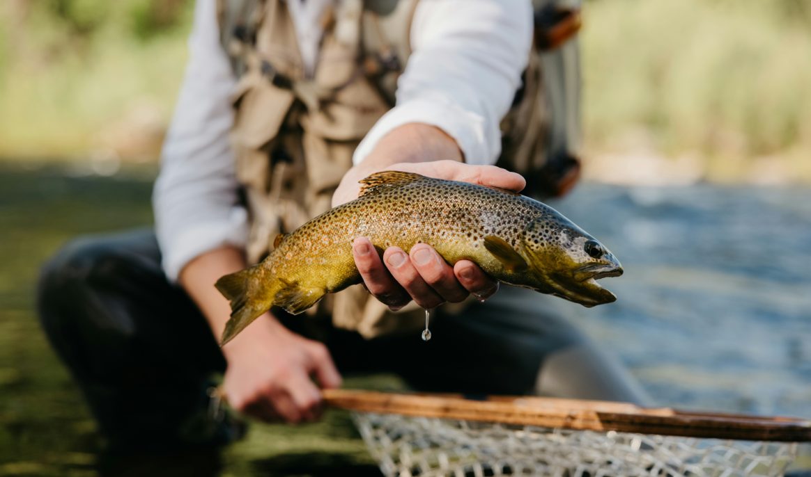 This place turns fishing into a cruel game: with prizes in exchange for fish