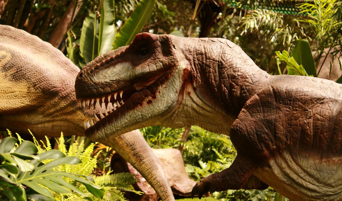 New dinosaur discovered in China: A "four-winged dragon"