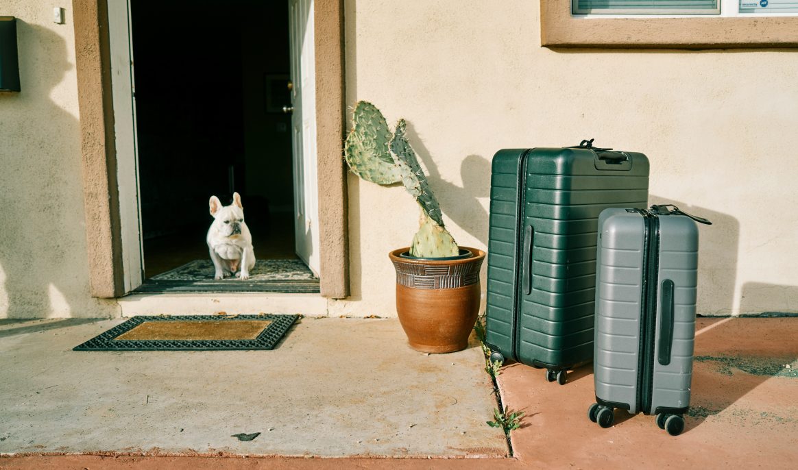 Traveling with a Pet: Challenges remain to be overcome