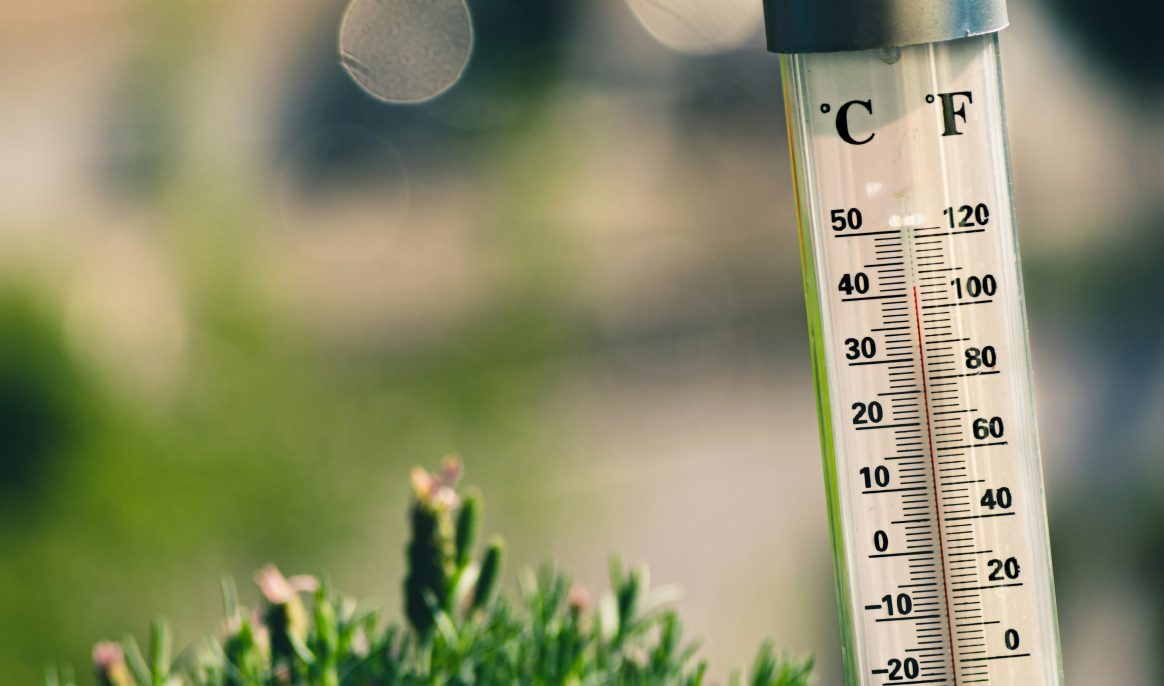 Five years of record heat ahead: we're on the brink of exceeding the 1.5°C threshold, warns the UN
