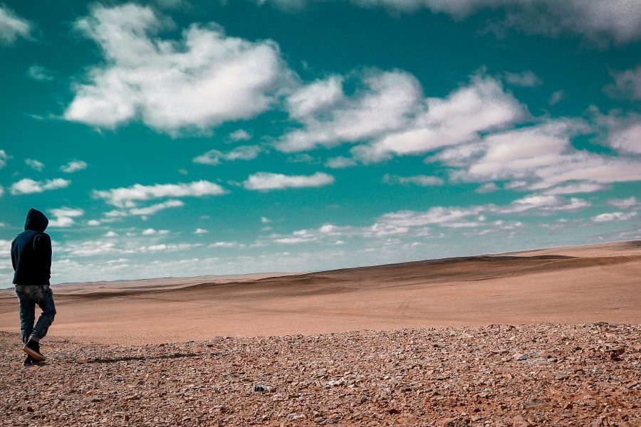 Gobi desert